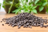 Psyllium bienfaits cheveux : Propriétés risque & utilisation